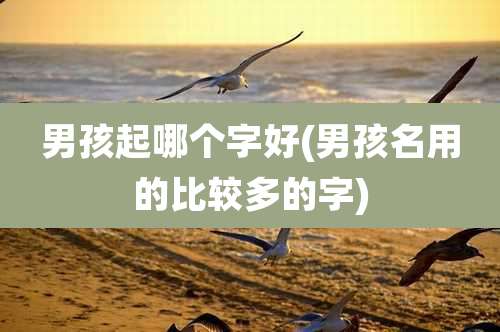 男孩起哪个字好(男孩名用的比较多的字)
