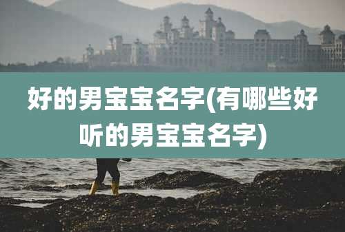 好的男宝宝名字(有哪些好听的男宝宝名字)