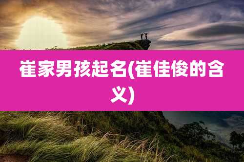 崔家男孩起名(崔佳俊的含义)