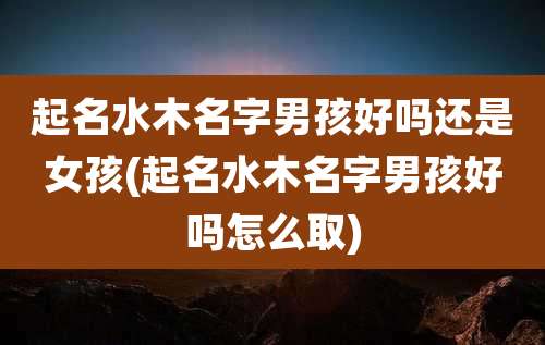 起名水木名字男孩好吗还是女孩(起名水木名字男孩好吗怎么取)
