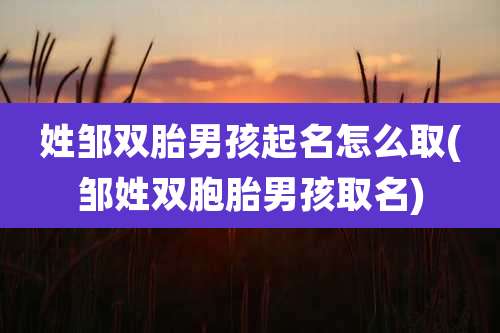 姓邹双胎男孩起名怎么取(邹姓双胞胎男孩取名)