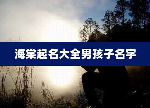 海棠起名大全男孩子名字