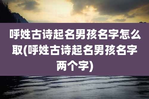 呼姓古诗起名男孩名字怎么取(呼姓古诗起名男孩名字两个字)