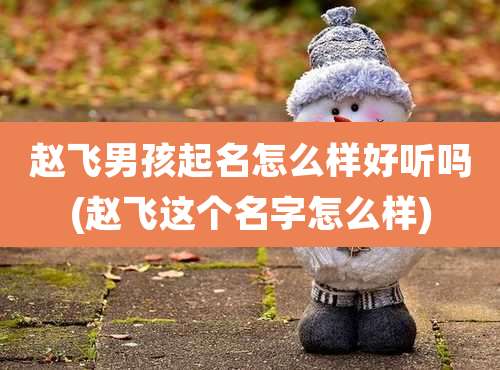 赵飞男孩起名怎么样好听吗(赵飞这个名字怎么样)