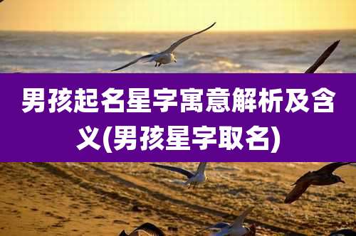 男孩起名星字寓意解析及含义(男孩星字取名)