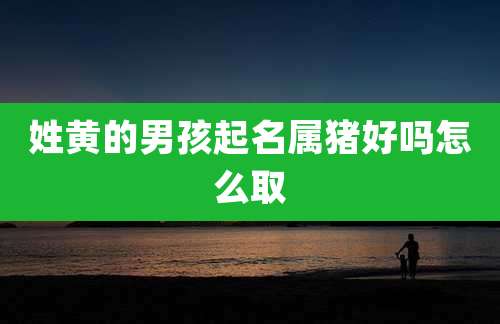 姓黄的男孩起名属猪好吗怎么取