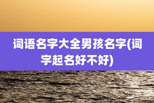 词语名字大全男孩名字(词字起名好不好)