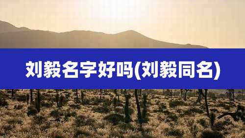 刘毅名字好吗(刘毅同名)