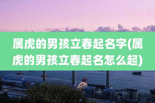 属虎的男孩立春起名字(属虎的男孩立春起名怎么起)