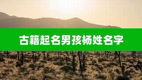 古籍起名男孩杨姓名字