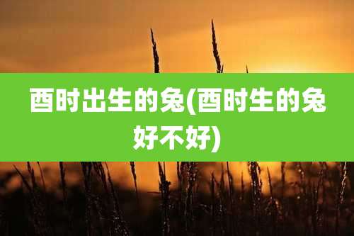 酉时出生的兔(酉时生的兔好不好)