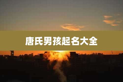 唐氏男孩起名大全