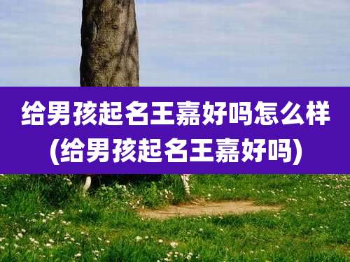 给男孩起名王嘉好吗怎么样(给男孩起名王嘉好吗)