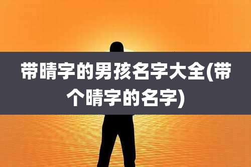 带晴字的男孩名字大全(带个晴字的名字)