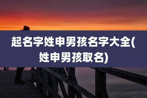 起名字姓申男孩名字大全(姓申男孩取名)