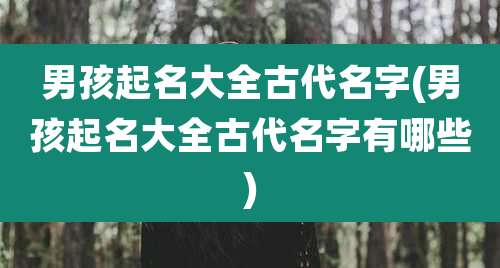 男孩起名大全古代名字(男孩起名大全古代名字有哪些)