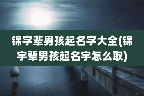 锦字辈男孩起名字大全(锦字辈男孩起名字怎么取)