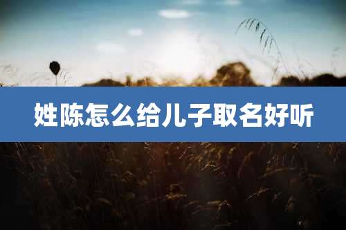 姓陈怎么给儿子取名好听