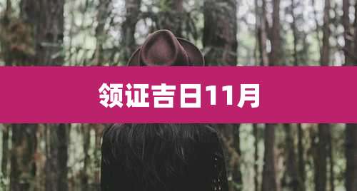 领证吉日11月