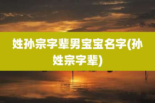 姓孙宗字辈男宝宝名字(孙姓宗字辈)