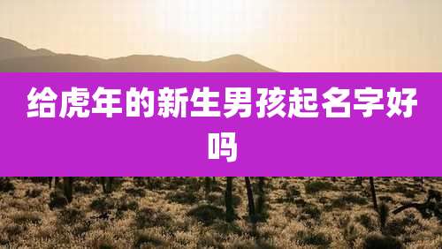 给虎年的新生男孩起名字好吗