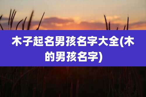 木子起名男孩名字大全(木的男孩名字)