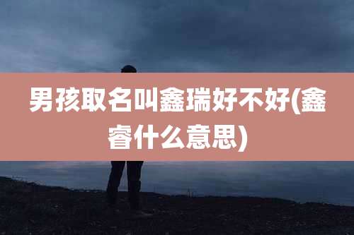 男孩取名叫鑫瑞好不好(鑫睿什么意思)