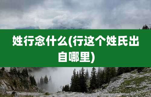 姓行念什么(行这个姓氏出自哪里)