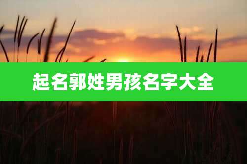 起名郭姓男孩名字大全