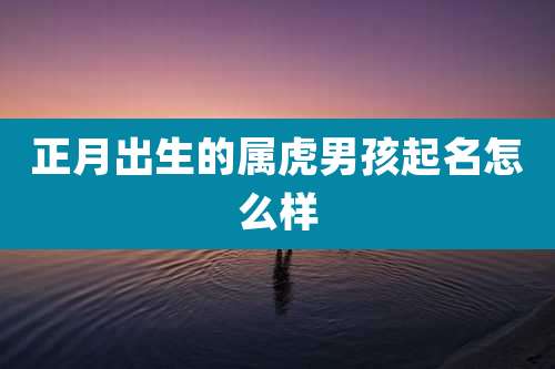 正月出生的属虎男孩起名怎么样