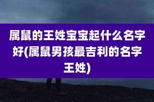 属鼠的王姓宝宝起什么名字好(属鼠男孩最吉利的名字王姓)