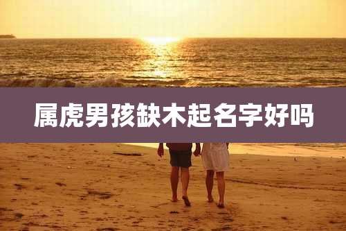 属虎男孩缺木起名字好吗