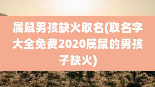 属鼠男孩缺火取名(取名字大全免费2020属鼠的男孩子缺火)