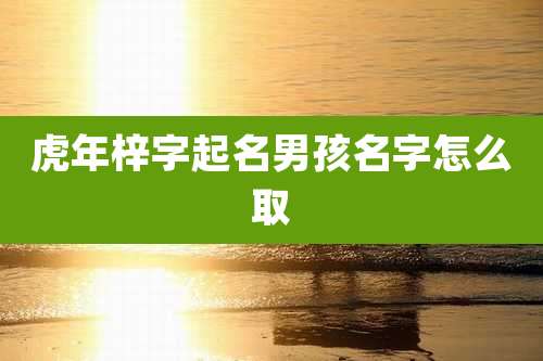 虎年梓字起名男孩名字怎么取