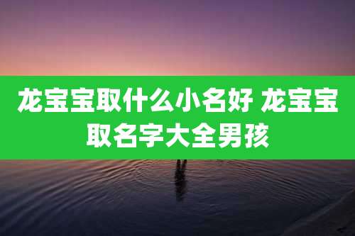 龙宝宝取什么小名好 龙宝宝取名字大全男孩