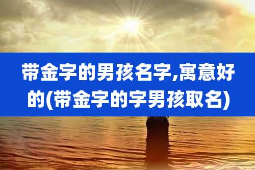 带金字的男孩名字,寓意好的(带金字的字男孩取名)