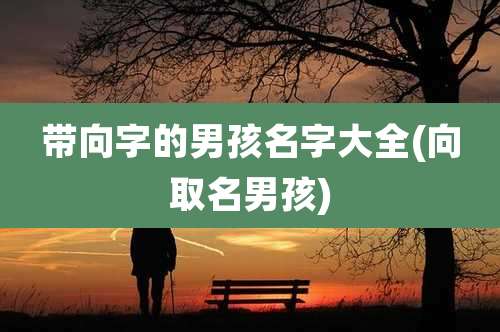 带向字的男孩名字大全(向取名男孩)