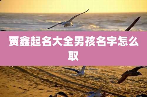 贾鑫起名大全男孩名字怎么取