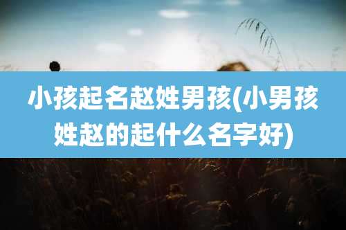 小孩起名赵姓男孩(小男孩姓赵的起什么名字好)