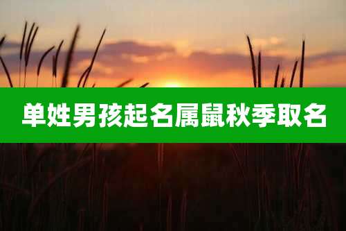 单姓男孩起名属鼠秋季取名