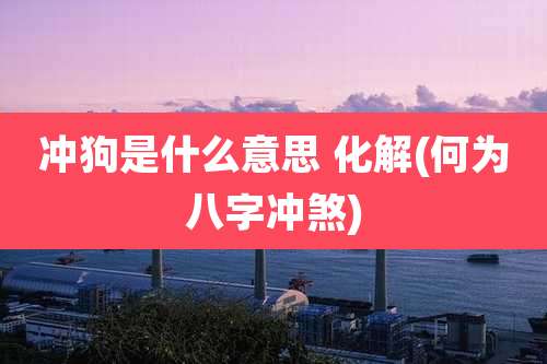冲狗是什么意思 化解(何为八字冲煞)