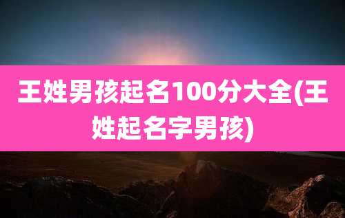 王姓男孩起名100分大全(王姓起名字男孩)