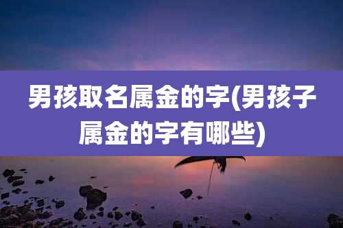 男孩取名属金的字(男孩子属金的字有哪些)