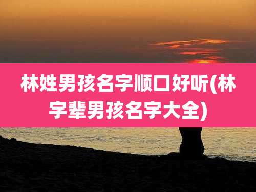 林姓男孩名字顺口好听(林字辈男孩名字大全)