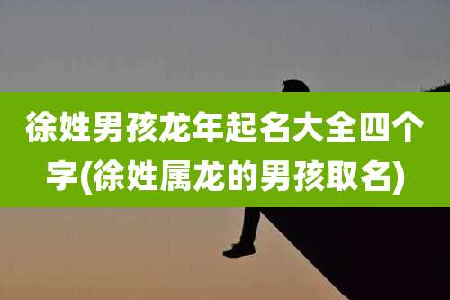 徐姓男孩龙年起名大全四个字(徐姓属龙的男孩取名)