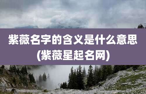 紫薇名字的含义是什么意思(紫薇星起名网)