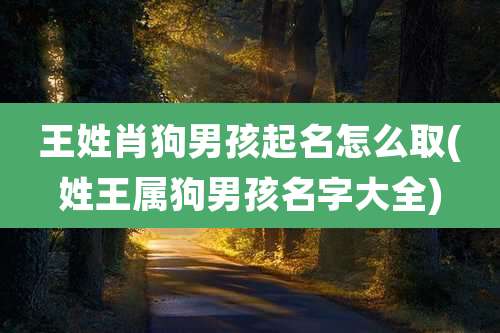 王姓肖狗男孩起名怎么取(姓王属狗男孩名字大全)