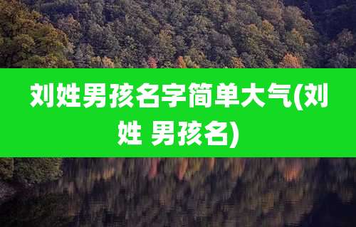 刘姓男孩名字简单大气(刘姓 男孩名)