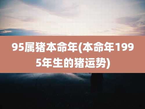 95属猪本命年(本命年1995年生的猪运势)