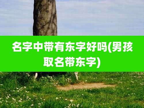 名字中带有东字好吗(男孩取名带东字)